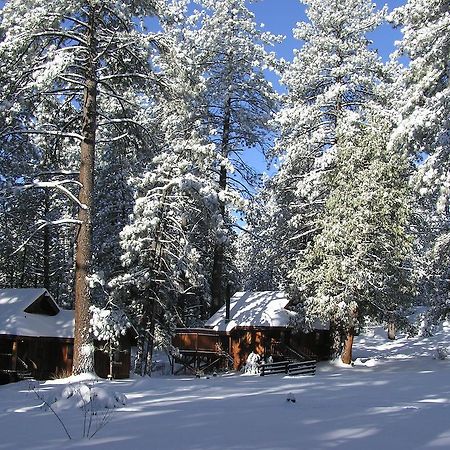 Quiet Creek Inn Idyllwild Exteriör bild