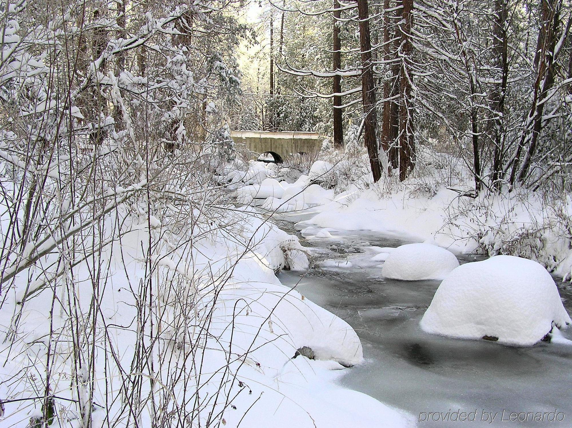Quiet Creek Inn Idyllwild Exteriör bild