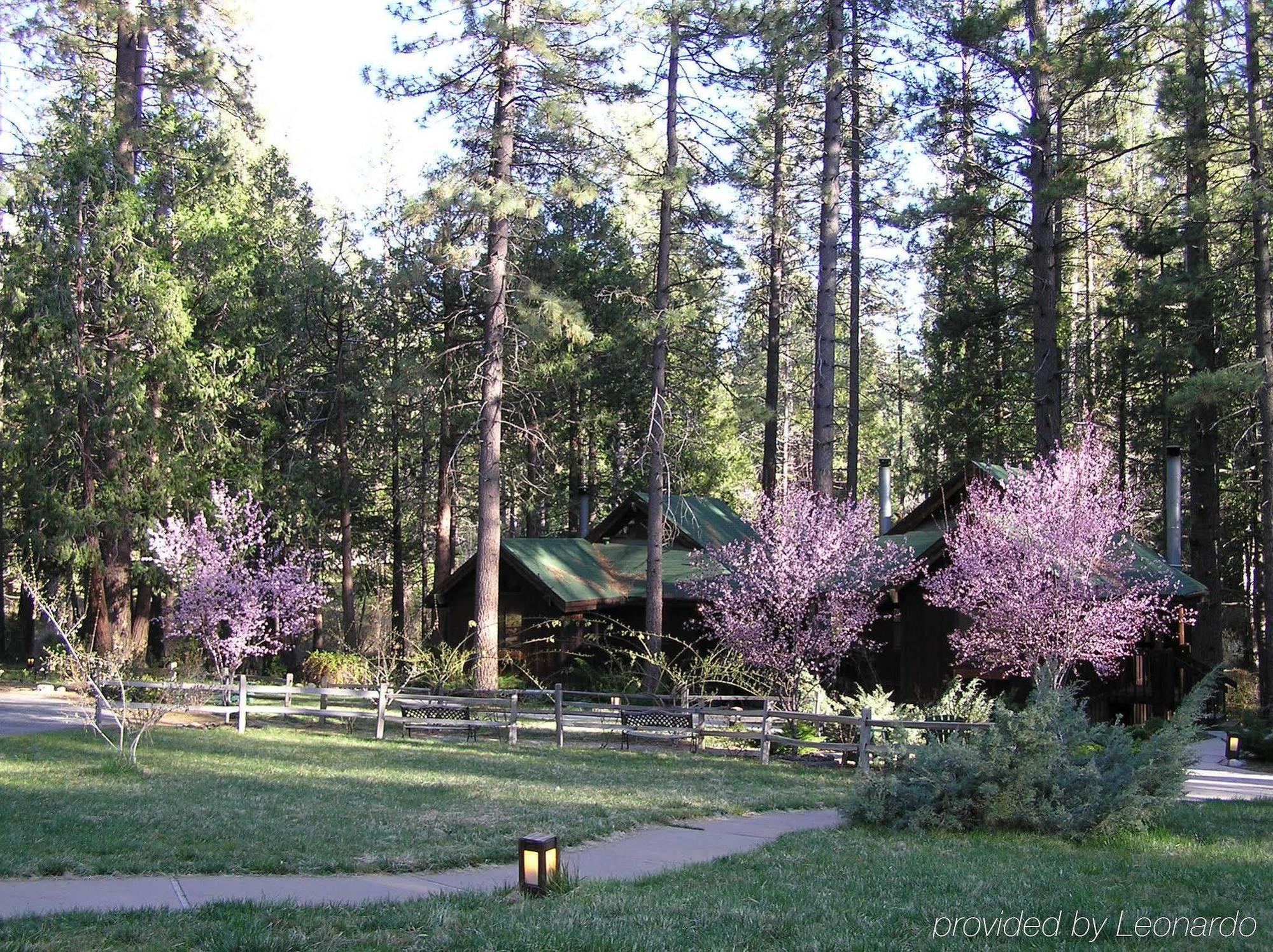 Quiet Creek Inn Idyllwild Exteriör bild