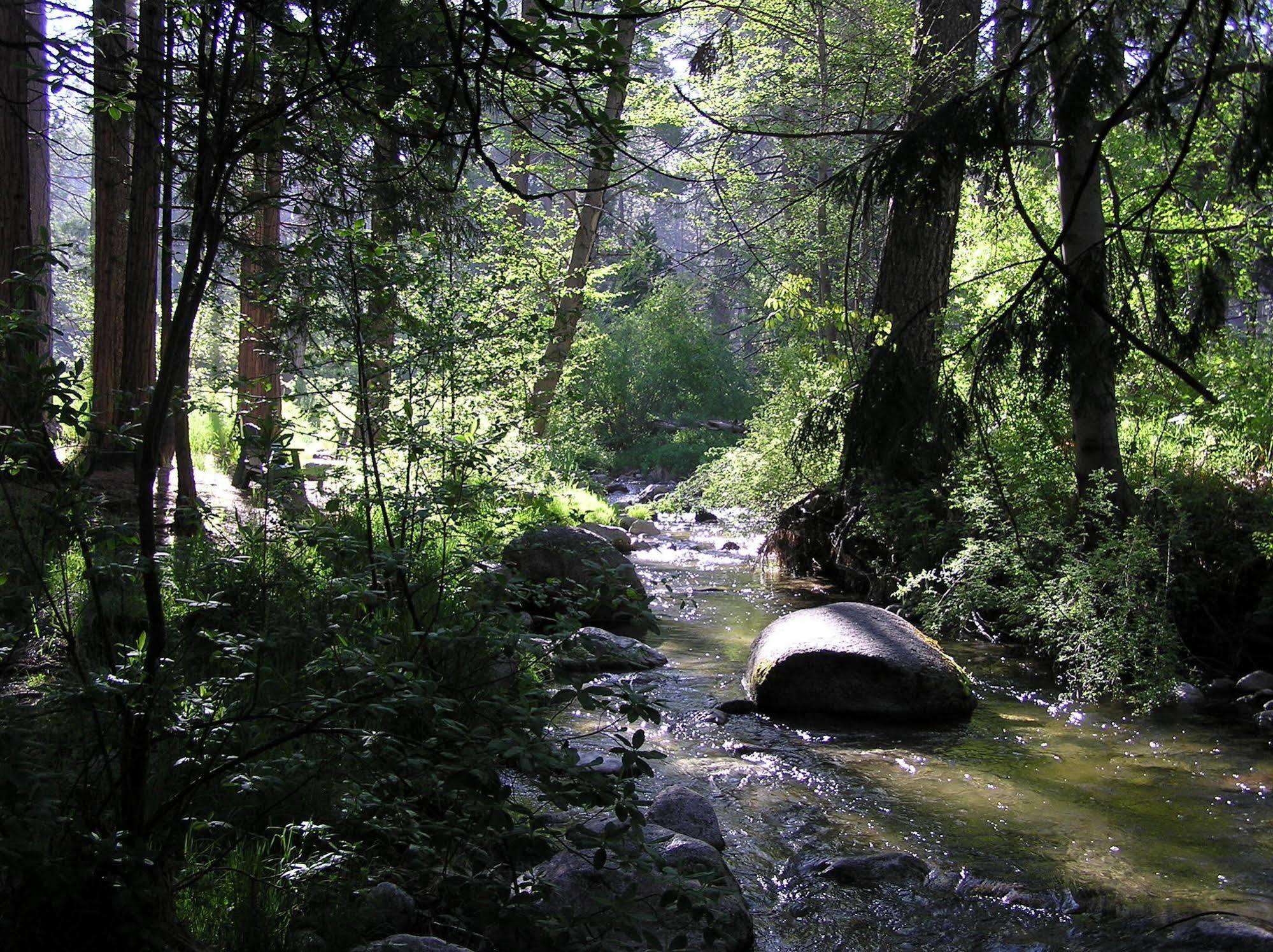 Quiet Creek Inn Idyllwild Exteriör bild