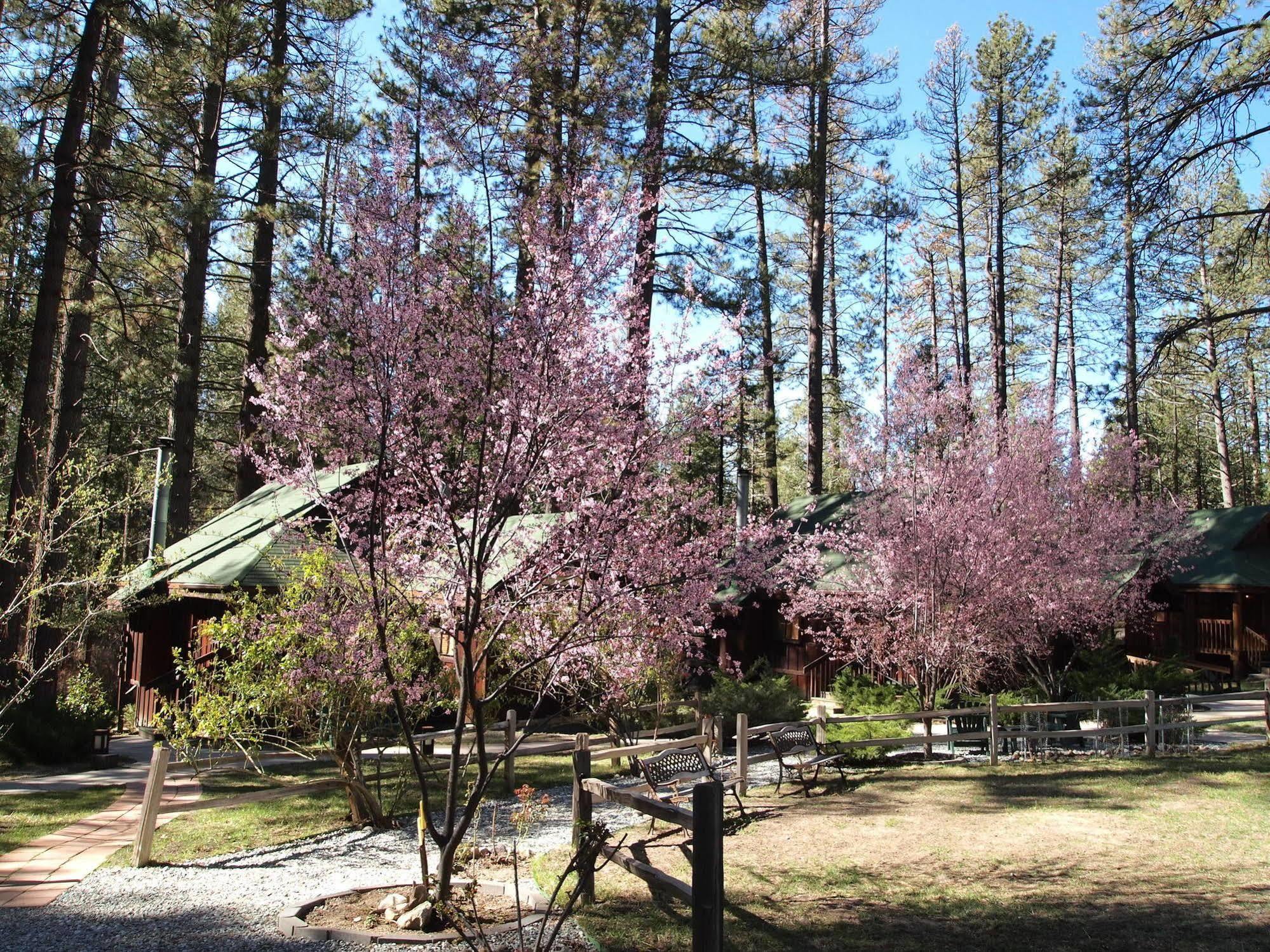 Quiet Creek Inn Idyllwild Exteriör bild