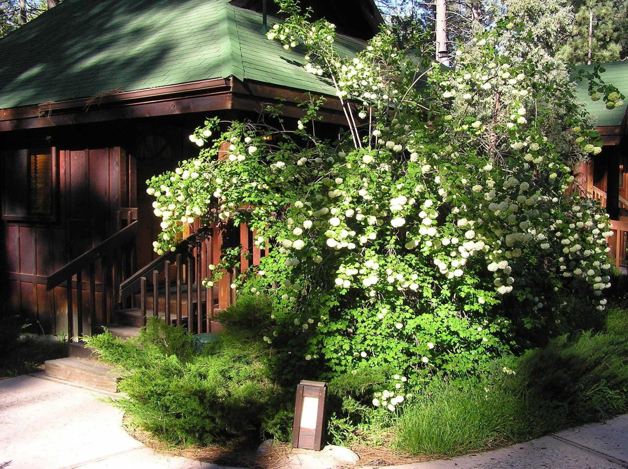Quiet Creek Inn Idyllwild Exteriör bild