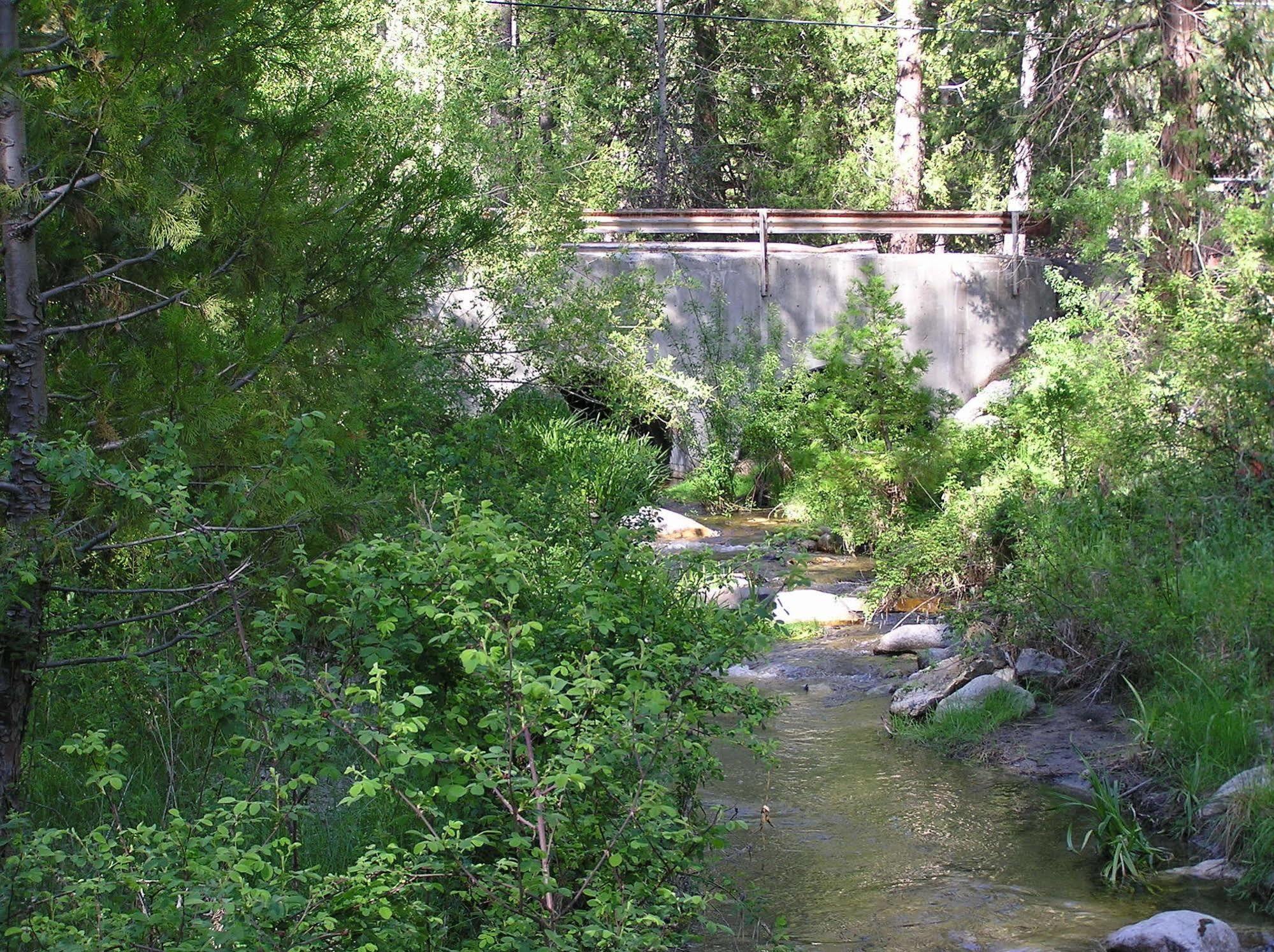 Quiet Creek Inn Idyllwild Exteriör bild