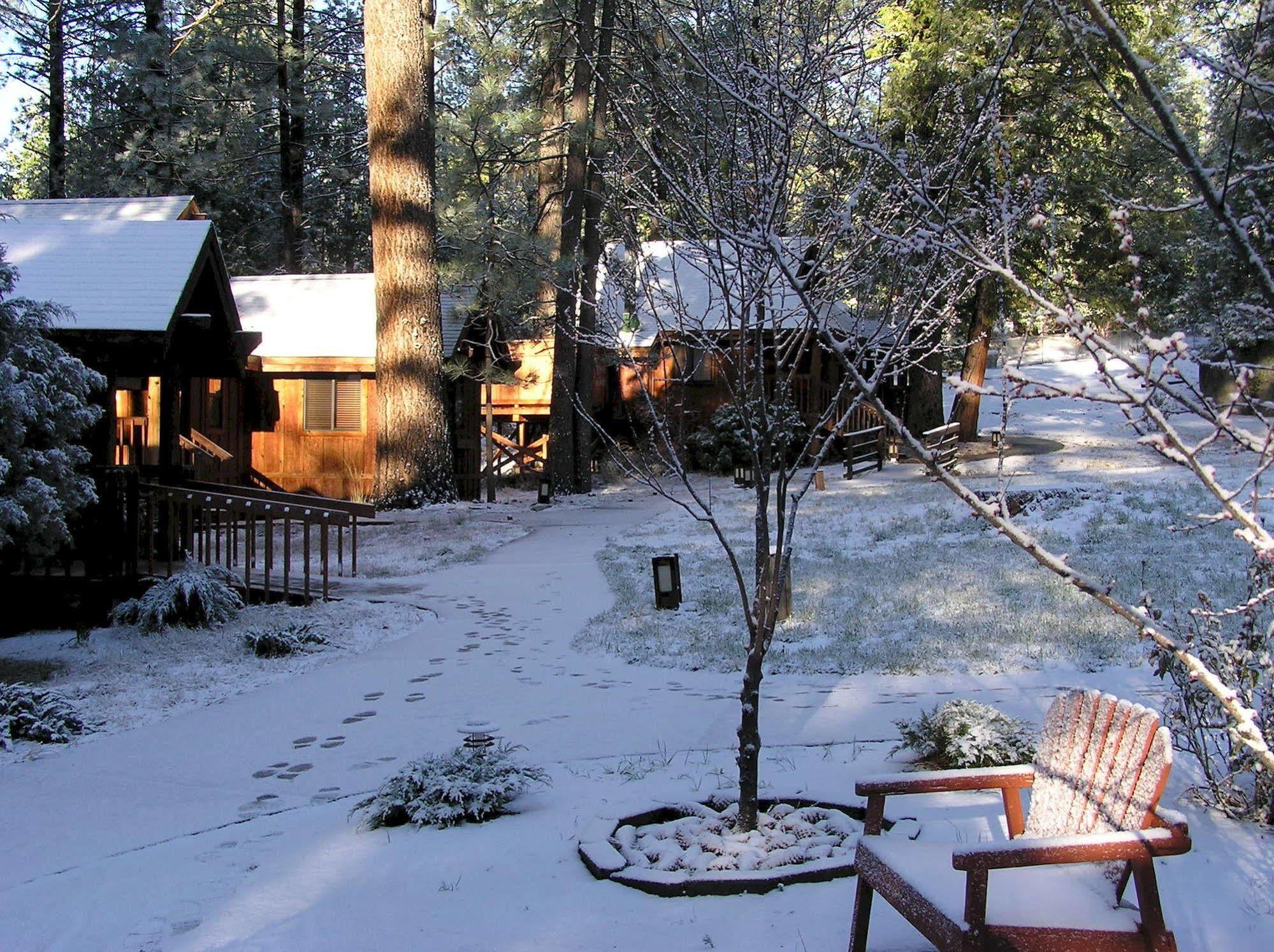 Quiet Creek Inn Idyllwild Exteriör bild
