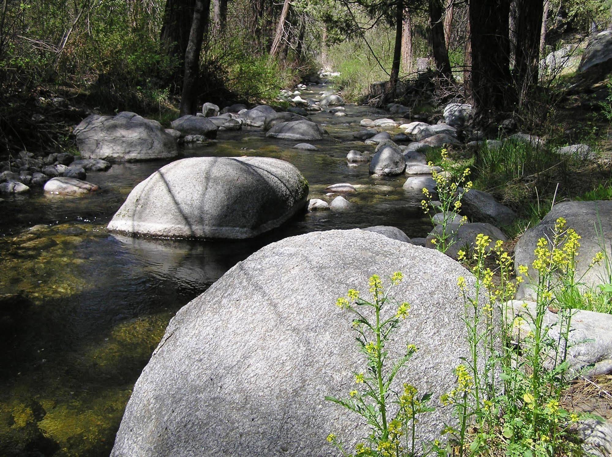 Quiet Creek Inn Idyllwild Exteriör bild