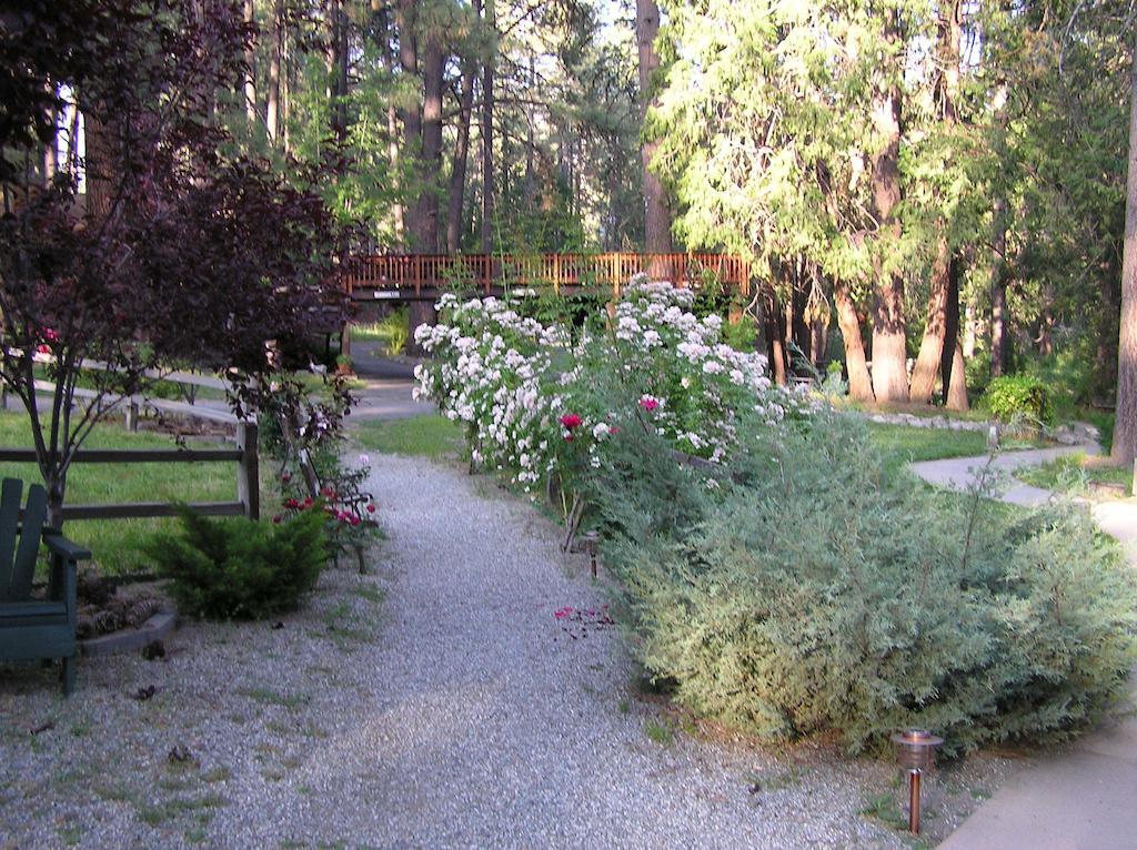 Quiet Creek Inn Idyllwild Exteriör bild