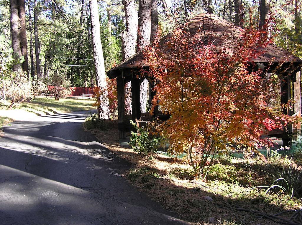 Quiet Creek Inn Idyllwild Exteriör bild
