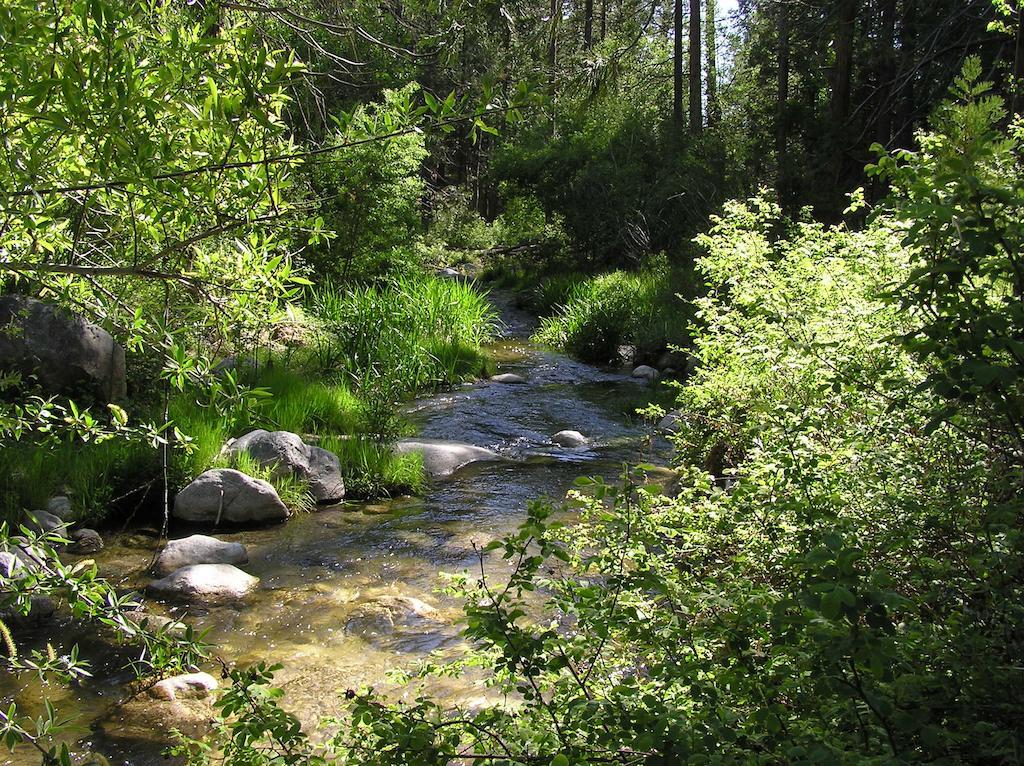 Quiet Creek Inn Idyllwild Exteriör bild