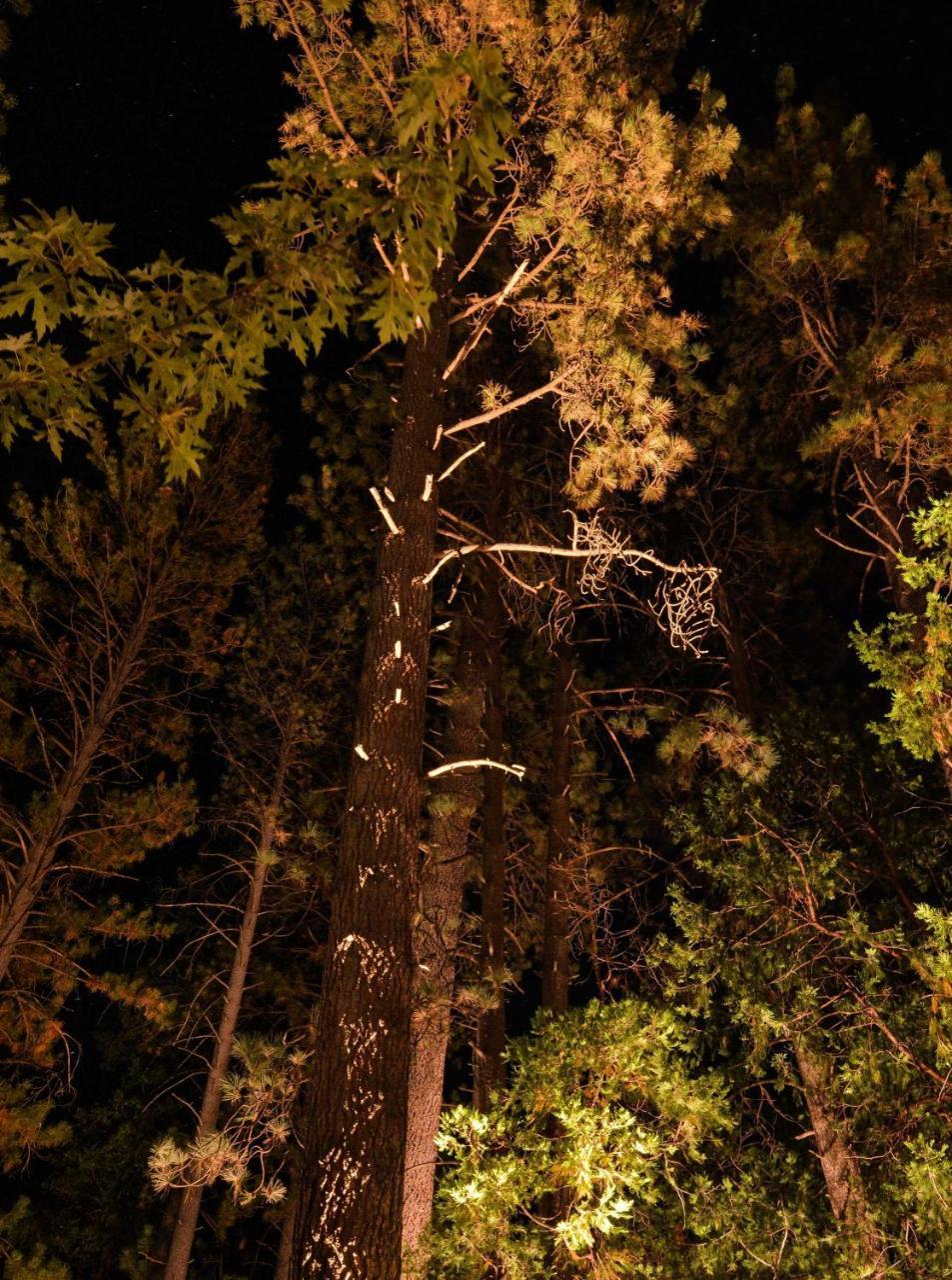 Quiet Creek Inn Idyllwild Exteriör bild